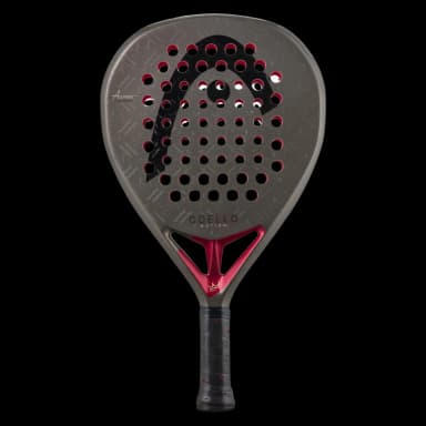 Head Coello Motion 2026